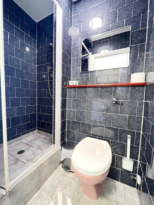 Stylish Ground Floor Garden Flat Nr Apartment London